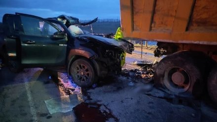 Житель Санкт-Петербурга погиб в аварии с фурой в Аннинском районе