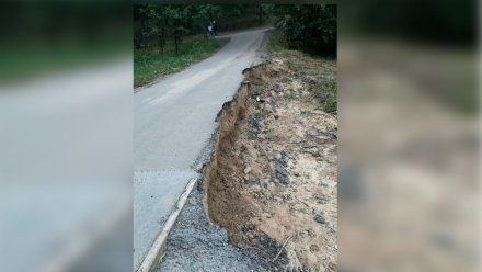 Воронежцы возмутились отсутствием ремонта в Центральном парке после летнего потопа