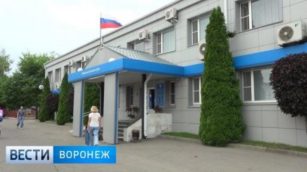 В Воронежской области начальницу налоговой службы заподозрили в коррупции после помощи зятю