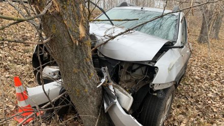 Белгородец попал в больницу после ДТП с деревом в Воронежской области