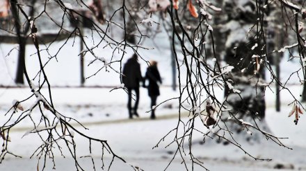 Синоптики рассказали о погоде в январе 2020 года в Воронежской области