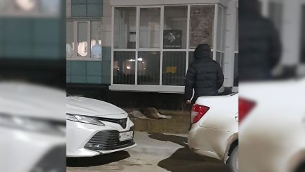 Девушка выпала из окна многоэтажки в Воронеже