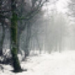 Синоптики спрогнозировали 9-дневные снегопады в Воронеже