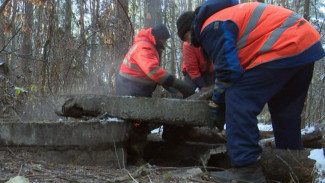 В многострадальном воронежском Северном лесу устранили канализационный ручей