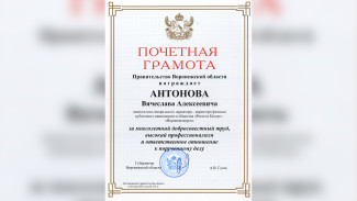 Директора Воронежэнерго наградили почётной грамотой правительства области