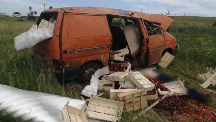 Водитель минивэна разбился в ДТП на трассе в Воронежской области