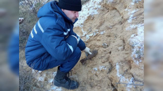 Более 30 боеприпасов времён Великой Отечественной войны  уничтожили в Воронежской области