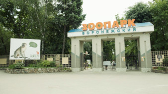 Как будет работать Воронежский зоопарк в новогодние праздники