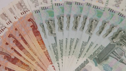 В Воронежской области мужчину осудили за мошенничество с соцконтрактом