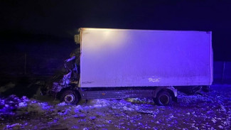 В Воронежской области водитель Mercedes-Benz погиб при столкновении с грузовиком