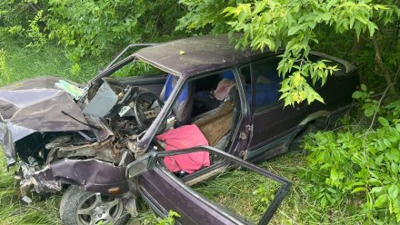 Двое детей и трое взрослых пострадали в ДТП на трассе Воронеж – Луганск