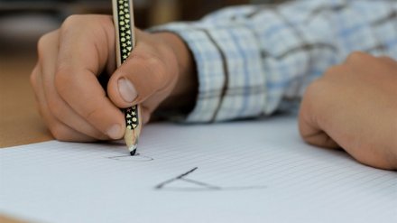 Жители микрорайона в Воронеже получат школу и парк в шаговой доступности