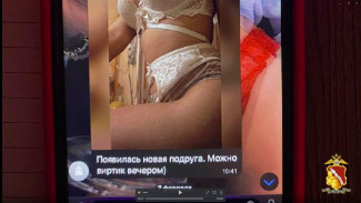 В Воронеже силовики накрыли притон с порномоделями