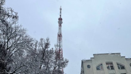 10-градусные морозы нагрянут в Воронеж