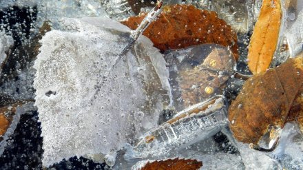 Метеорологи дали прогноз на последний месяц осени в Воронежской области