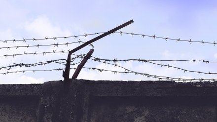 Жителя Воронежской области отправили в колонию из-за долга по алиментам