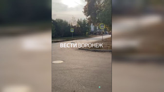 Воронежцам показали на видео пешеходный переход в никуда