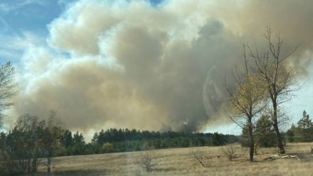 Крупный пожар в Новохопёрском районе потушили глубокой ночью