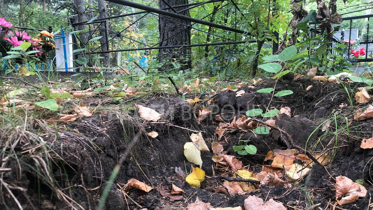 В воронеже оторвало руку. Интересные могилы.