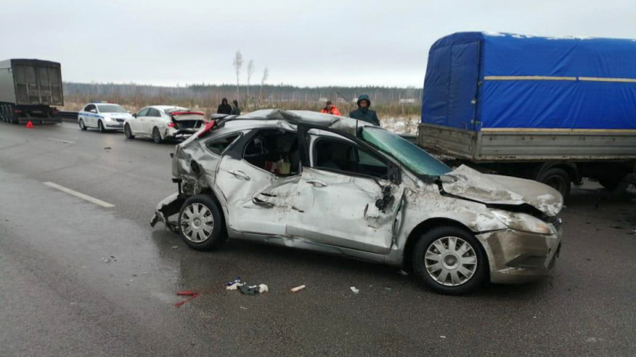 Искалечивший жену в аварии воронежец попал под суд – Новости Воронежа и  Воронежской области – Вести Воронеж