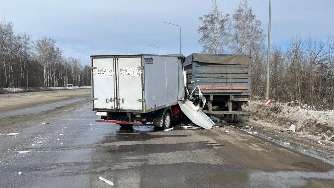 В Воронежской области мужчина пострадал в аварии с грузовиком | 18.03.2022  | Воронеж - БезФормата