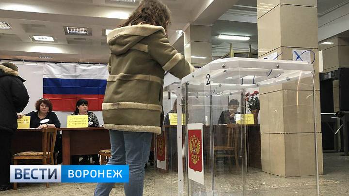 Явка на выборах в воронеже. Явка на выборах в Воронежской области.