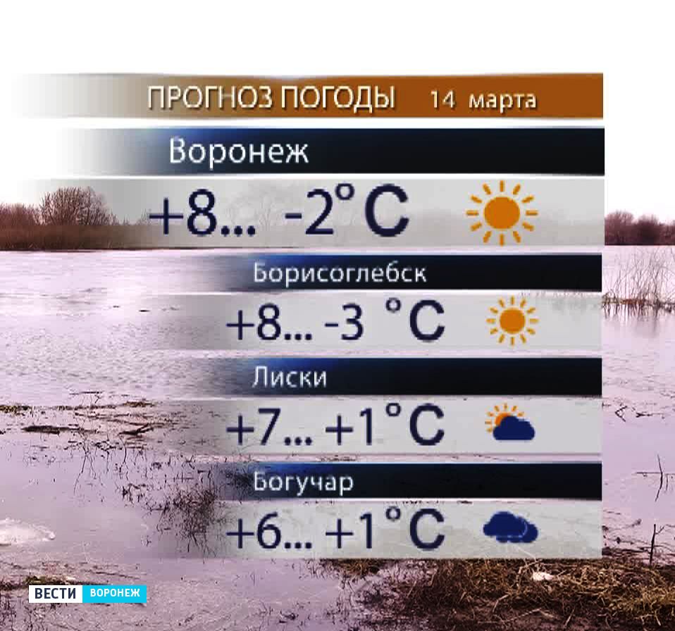 Погода в воронеже на неделю точный прогноз. Прогноз погоды в Воронеже. Погода в Лисках. Прогноз погоды Лиски. Погода в Лисках сегодня.