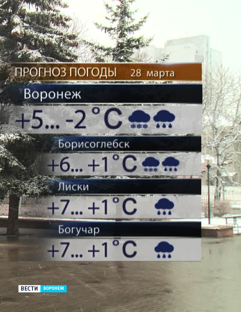 Погода воронеж март 2024. Погода на 28.03.. Погода в Воронеже март. Вести Воронеж погода на завтра. Воронеж в марте.