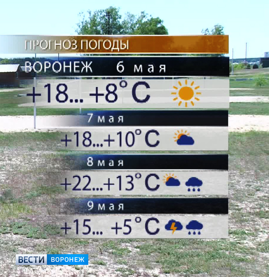 Прогноз погоды воронежская. Прогноз погоды в Воронежской области. Вести Воронеж погода на завтра. Прогноз на 10 дней Воронеж. Погода Воронежская область на 10 дней.