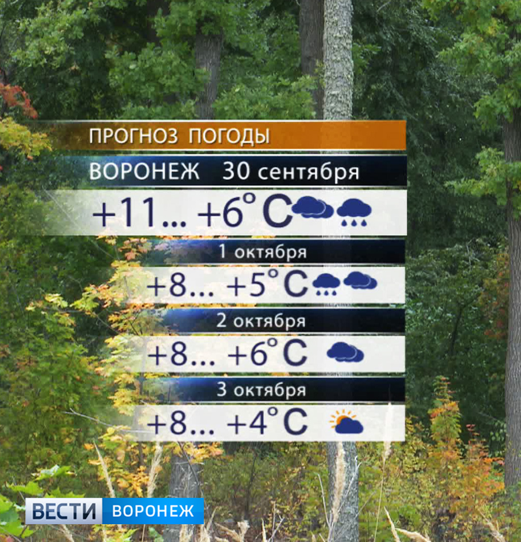 Прогноз погоды в Воронеже. Воронеж в сентябре. Погода воронеж области на неделю