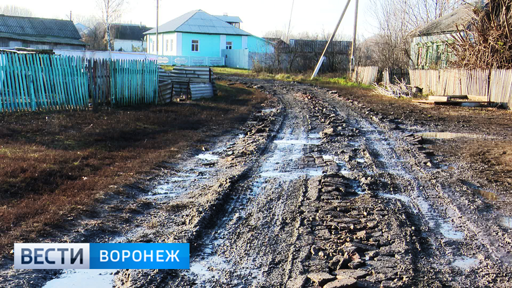 Погода данило воронежской