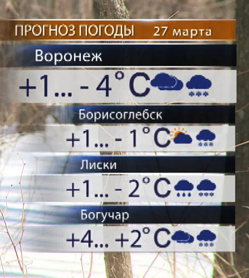 Погода в Воронеже на 14 дней