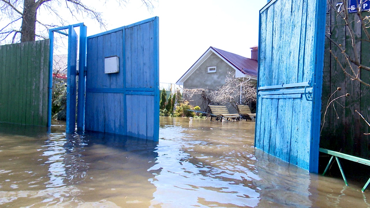 дома затопленные воронежским водохранилищем (99) фото