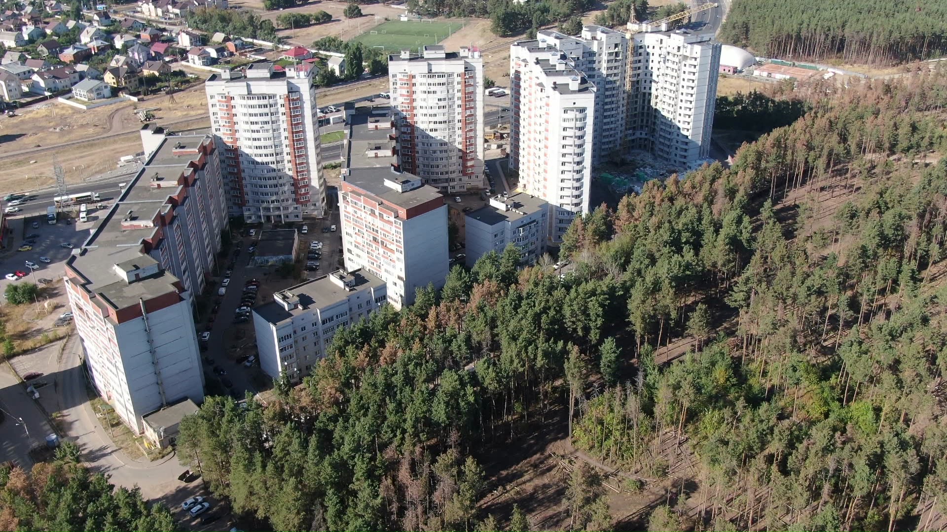 Парк северный лес воронеж фото Власти остановили вырубку Северного леса после бунта воронежцев - Новости Вороне