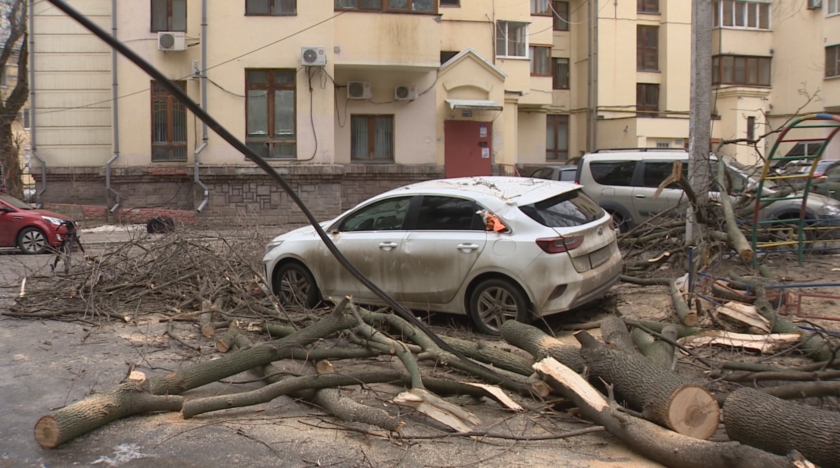 В Воронеже на автомобиль упало дерево