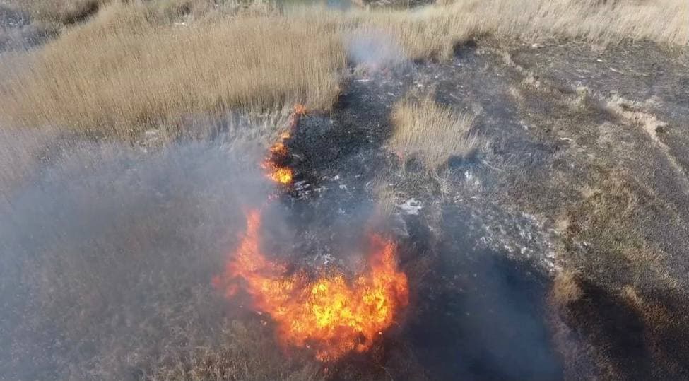 На видео сняли как пожарные тушат горящий камыш возле озера Харовое в Казани