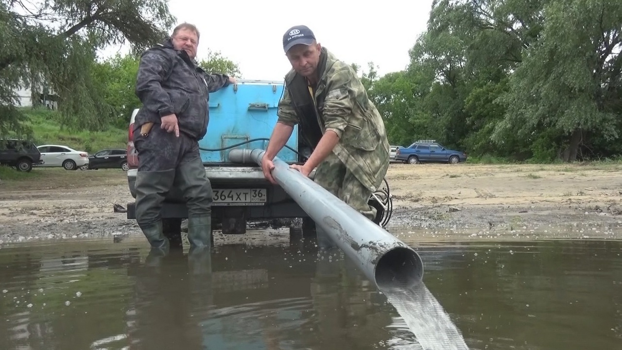 В реку Дон в Воронежской области выпустят три тонны мальков краснокнижной  стерляди – Новости Воронежа и Воронежской области – Вести Воронеж