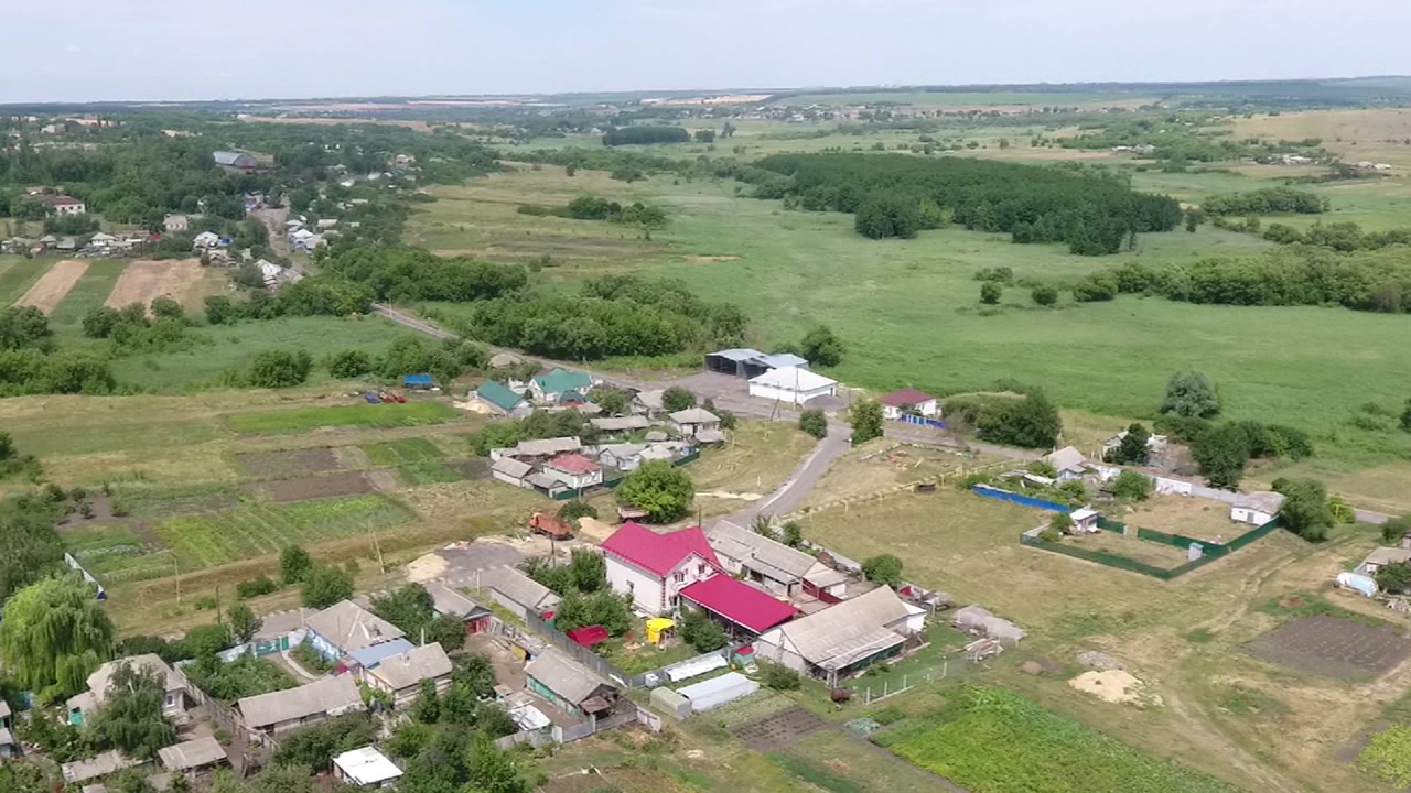 Лозовое воронежская. Лозовое.