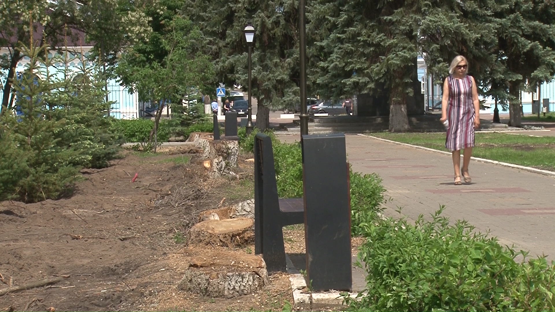 В воронежском райцентре вопреки просьбам жителей спилили деревья в парке –  Новости Воронежа и Воронежской области – Вести Воронеж