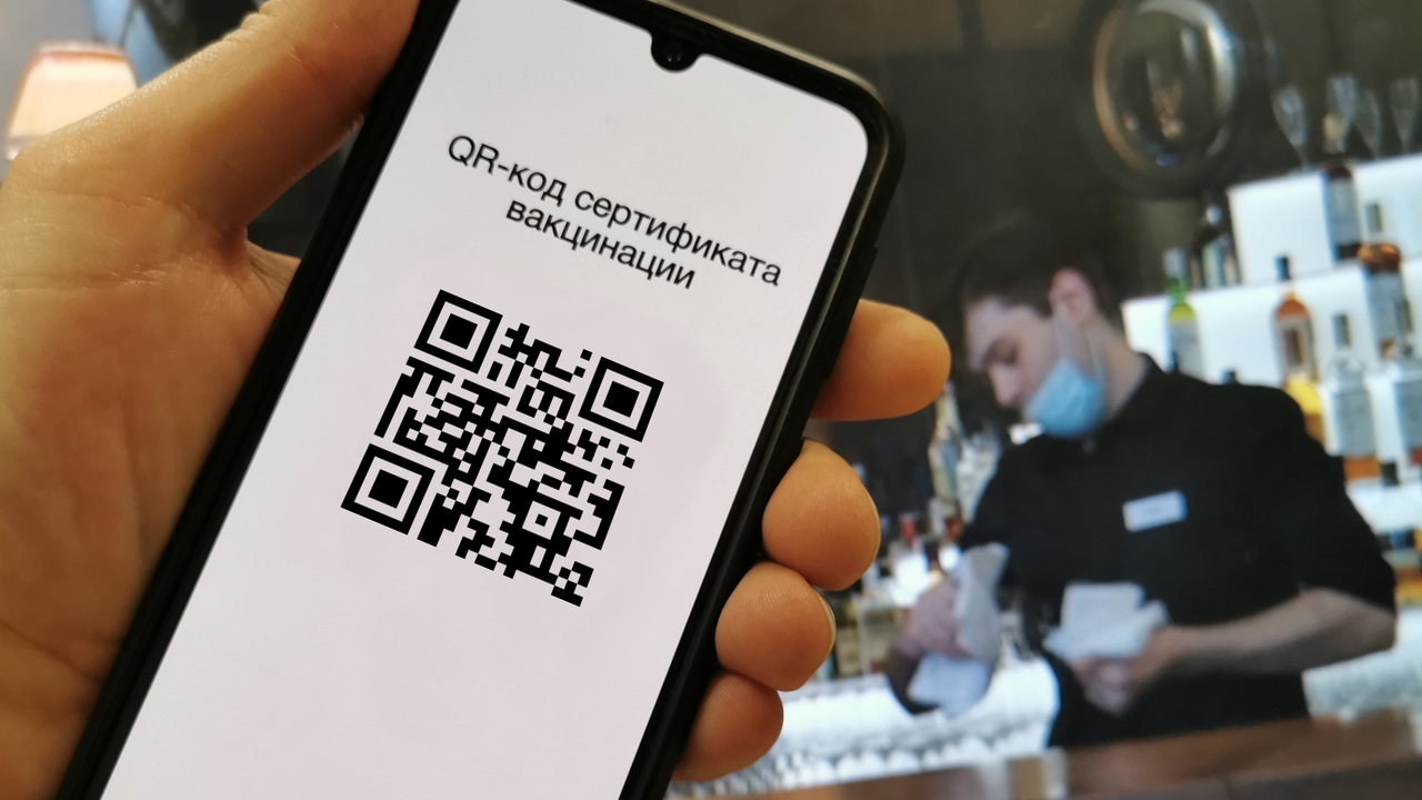 QR-курьер, QR-няня и QR-ведущий. В Воронеже придумали новые ковидные  профессии – Новости Воронежа и Воронежской области – Вести Воронеж