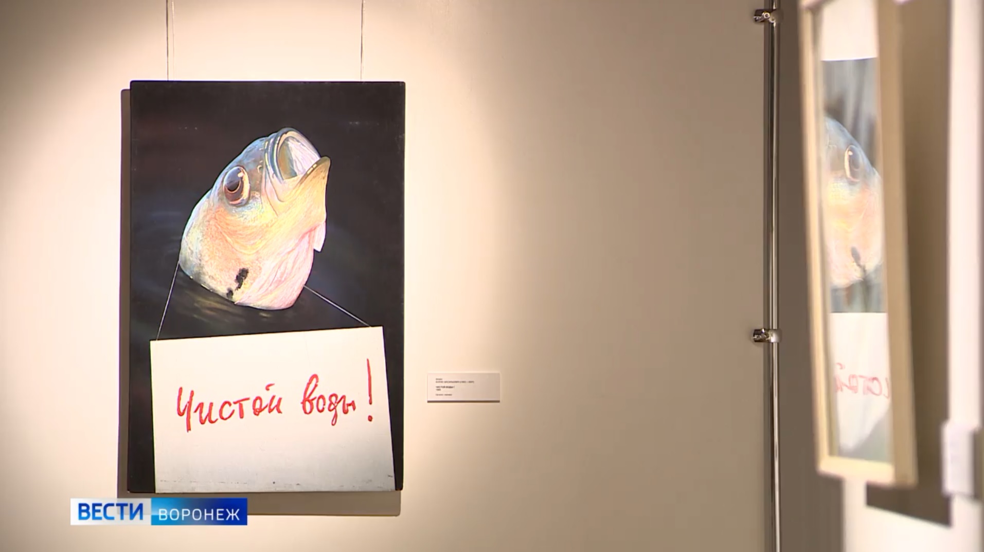 В воронежском музее имени Крамского открылась выставка Fish-art с полотнами  17-20 веков – Новости Воронежа и Воронежской области – Вести Воронеж