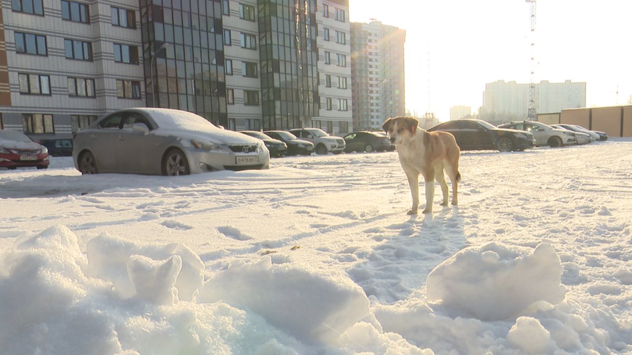 СДК д.Стайки