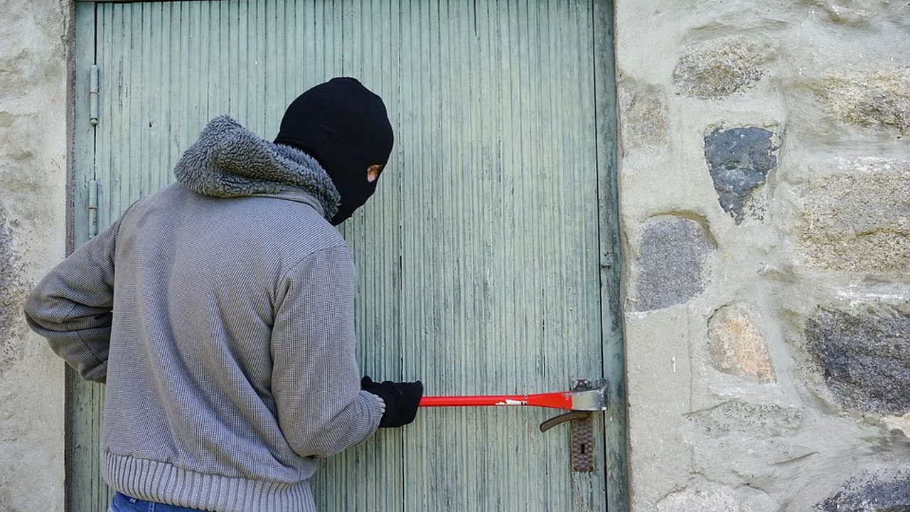 Эксперт раскрыл портрет типичного вора в Воронеже – Новости Воронежа и  Воронежской области – Вести Воронеж