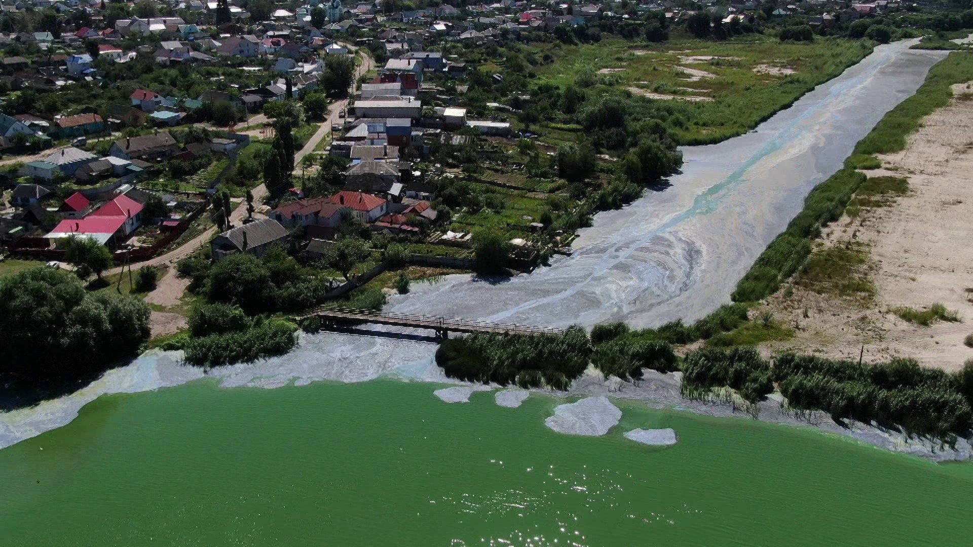 Эксперты назвали главную причину ужасного состояния воды в Масловском  затоне в Воронеже – Новости Воронежа и Воронежской области – Вести Воронеж