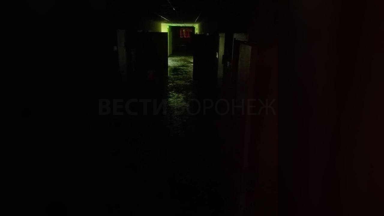 В Воронеже студентов эконома ВГУ на месяц отправили на дистант из-за  фекального потопа – Новости Воронежа и Воронежской области – Вести Воронеж