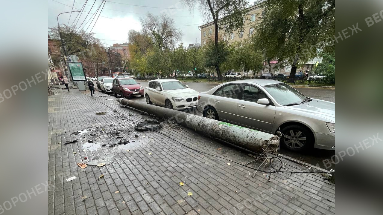 Столб возле остановки в центре Воронежа демонтировали после ночного ДТП –  Новости Воронежа и Воронежской области – Вести Воронеж