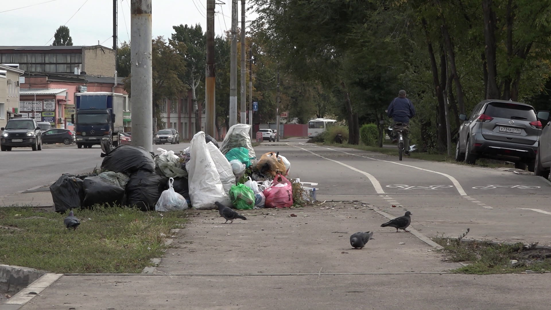 Воронежское Шилово завалили мусором после появления велодорожки – Новости  Воронежа и Воронежской области – Вести Воронеж