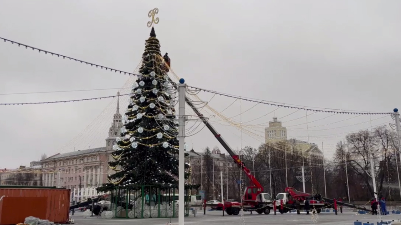 В Воронеже нарядили главную городскую ёлку – Новости Воронежа и Воронежской  области – Вести Воронеж