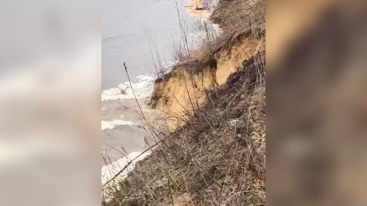 Воронежцы сняли на видео обвал берега Дона – Новости Воронежа и Воронежской  области – Вести Воронеж