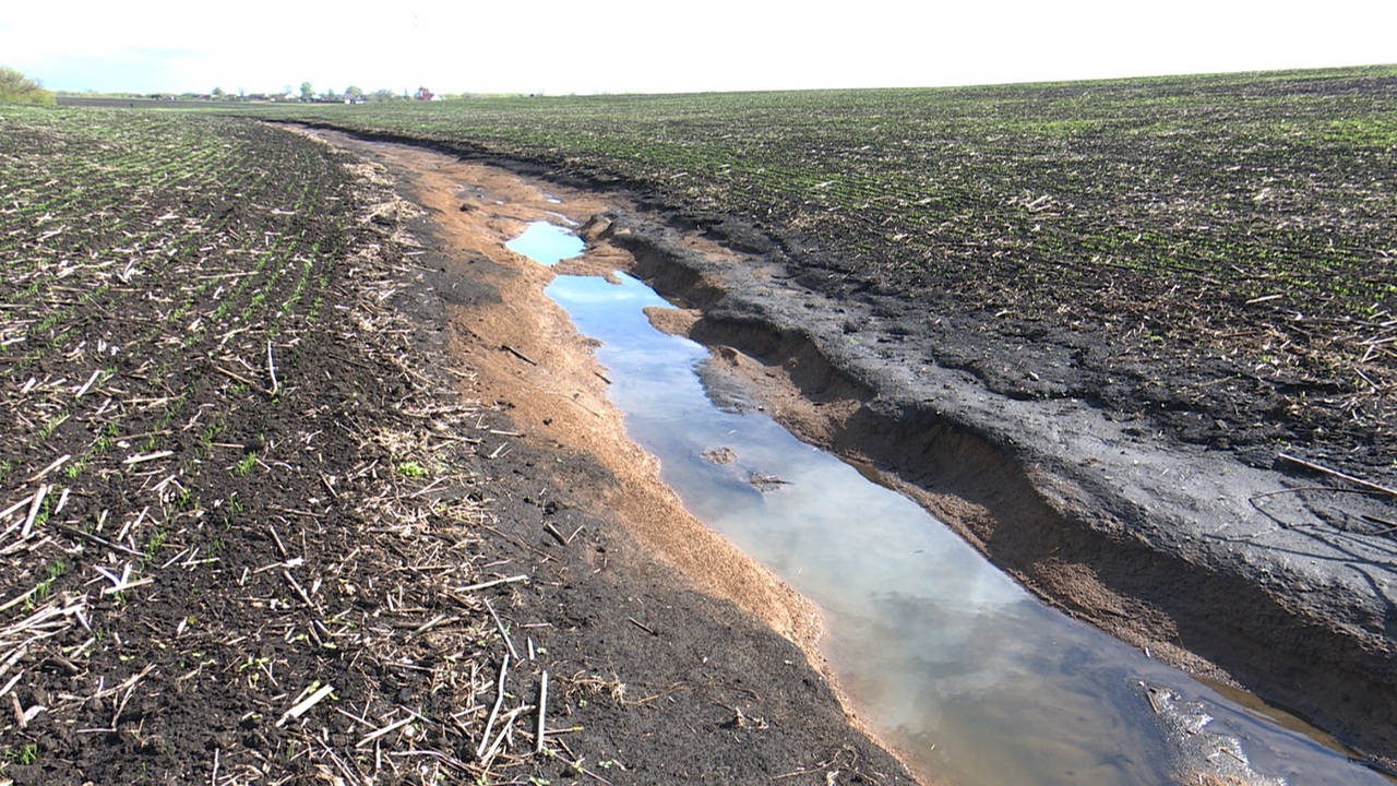 Поверхностная эрозия почв. Овражная водная эрозия. Линейная водная эрозия. Ирригационная эрозия. Плоскостная водная эрозия почв.